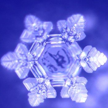 Crystallus Wasser: Perfekte Harmonie
